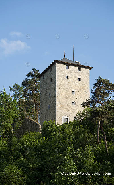 Poulseur, donjon de la Renastienne